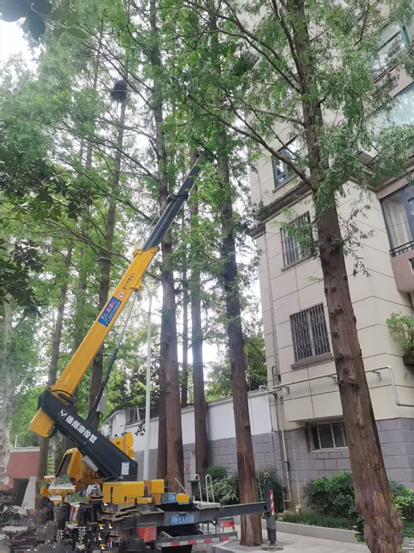 微信圖片_20250919141243_117_14.jpg